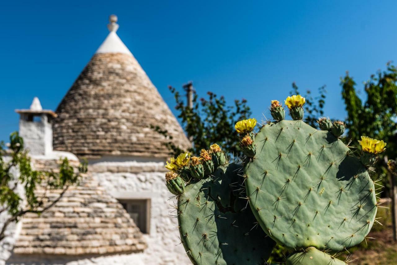 Вилла Trullo Picchiagiuda Остуни Экстерьер фото